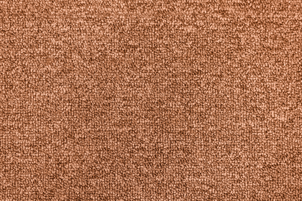 Brown colour textured carpet